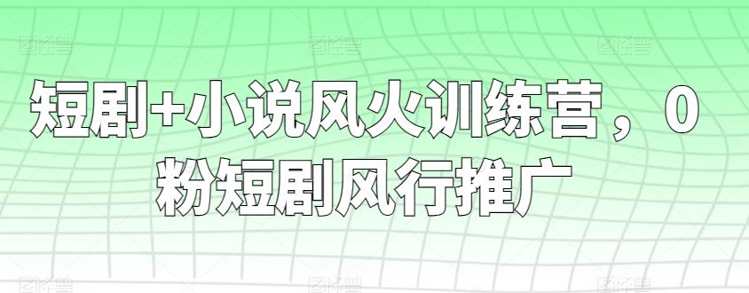 短剧+小说风火训练营，0粉短剧风行推广-金易项目网