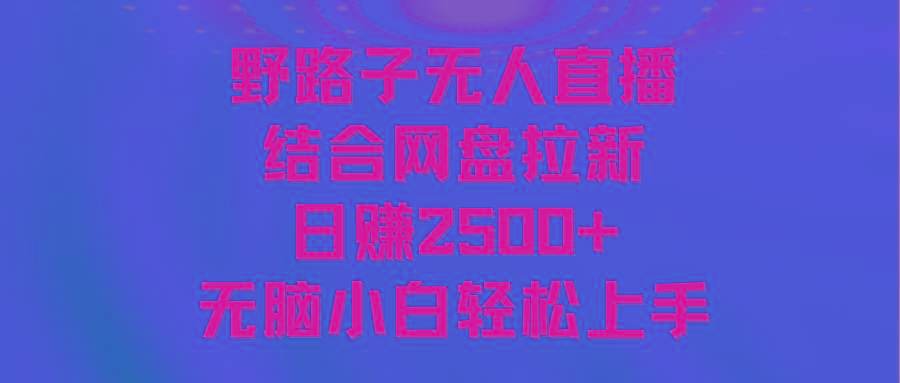 无人直播野路子结合网盘拉新，日赚2500+多平台变现，小白无脑轻松上手操作-金易项目网