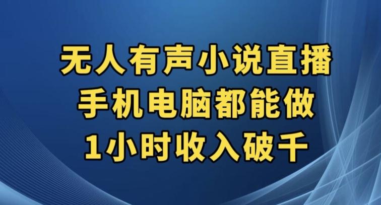 抖音无人有声小说直播，手机电脑都能做，1小时收入破千【揭秘】-金易项目网