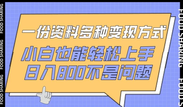 一份资料多种变现方式，小白也能轻松上手，日入800不是问题【揭秘】-金易项目网