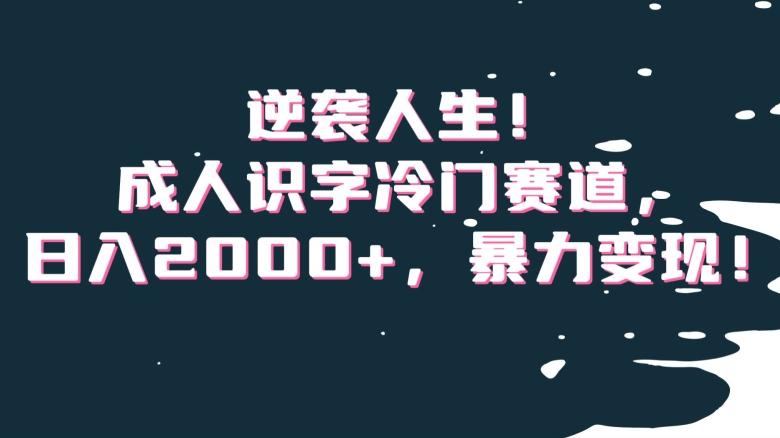逆袭人生！成人识字冷门赛道，日入2000+，暴力变现！【揭秘】-金易项目网