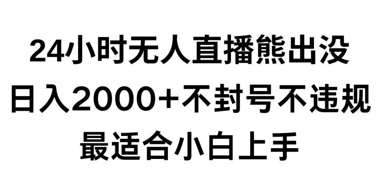 快手24小时无人直播熊出没，不封直播间，不违规，日入2000+，最适合小白上手，保姆式教学【揭秘】-金易项目网