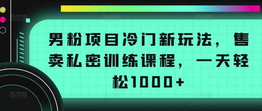 男粉项目冷门新玩法，售卖私密训练课程，一天轻松1000+【揭秘】-金易项目网