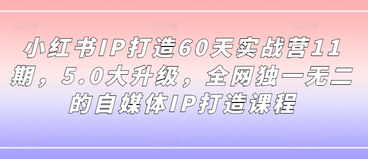 小红书IP打造60天实战营11期，5.0大升级，全网独一无二的自媒体IP打造课程-金易项目网