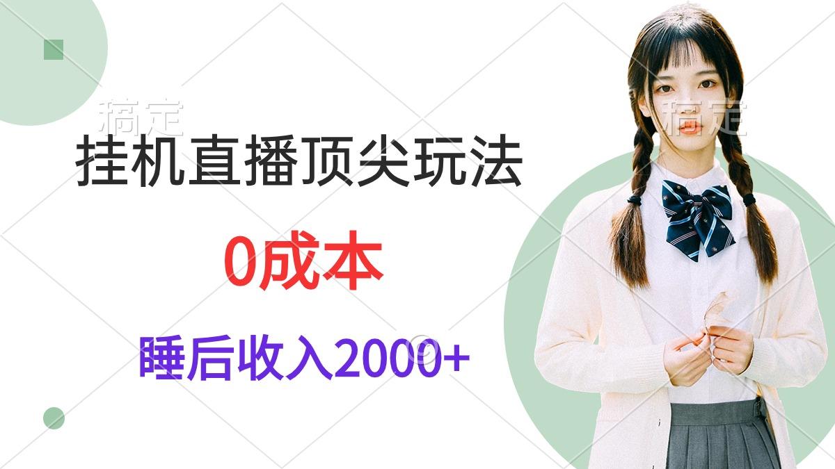 (9715期)挂机直播顶尖玩法，睡后日收入2000+、0成本，视频教学-金易项目网