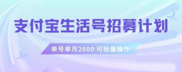 支付宝生活号作者招募计划，单号单月2600，可批量去做，工作室一人一个月轻松1w+【揭秘】-金易项目网