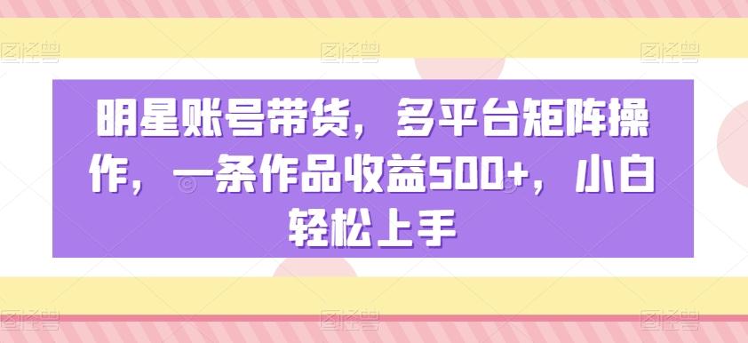 明星账号带货，多平台矩阵操作，一条作品收益500+，小白轻松上手【揭秘】-金易项目网