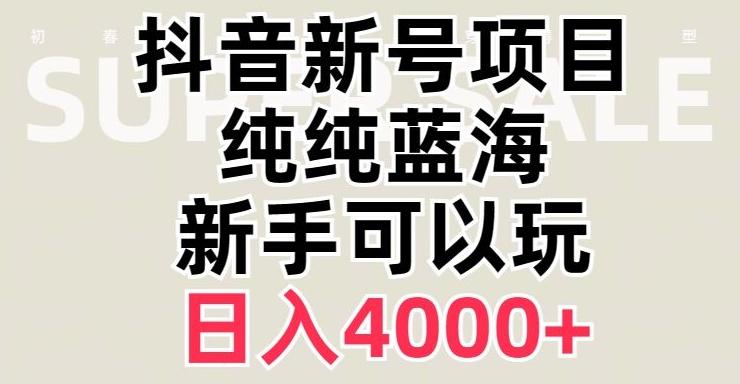 抖音蓝海赛道，必须是新账号，日入4000+【揭秘】-金易项目网