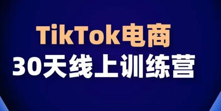 TikTok电商带货30天线上课，不可错过的全球流量洼地！-金易项目网