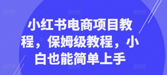 小红书电商项目教程，保姆级教程，小白也能简单上手-金易项目网