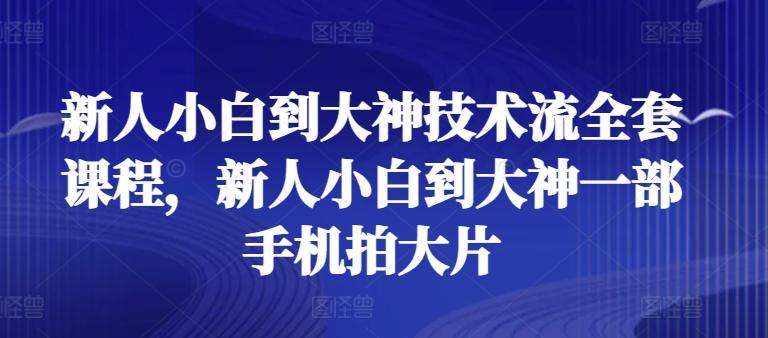 新人小白到大神技术流全套课程，新人小白到大神一部手机拍大片-金易项目网