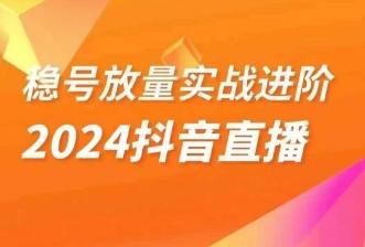 稳号放量实战进阶—2024抖音直播，直播间精细化运营的几大步骤-金易项目网