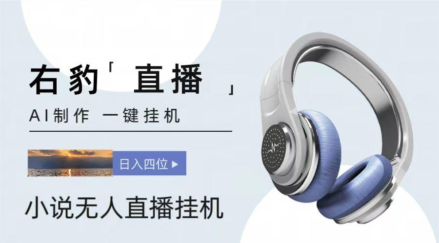 右豹小说无人直播挂机吸金项目，简单易行收益稳定， 月入1000+-金易项目网