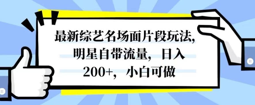 最新综艺名场面片段玩法，明星自带流量，日入200+，小白可做【揭秘】-金易项目网
