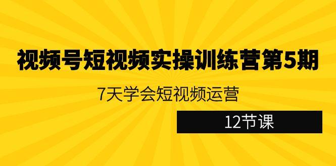 视频号短视频实操训练营第5期：7天学会短视频运营(12节课)-金易项目网
