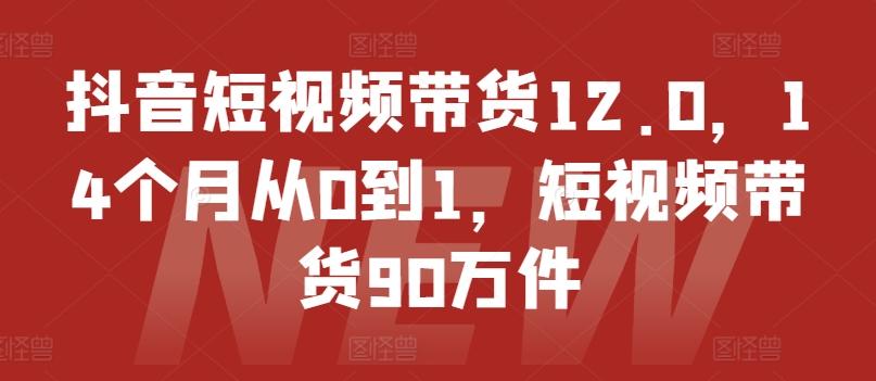 抖音短视频带货12.0，14个月从0到1，短视频带货90万件-金易项目网