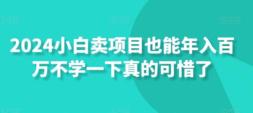 2024小白卖项目也能年入百万不学一下真的可惜了-金易项目网