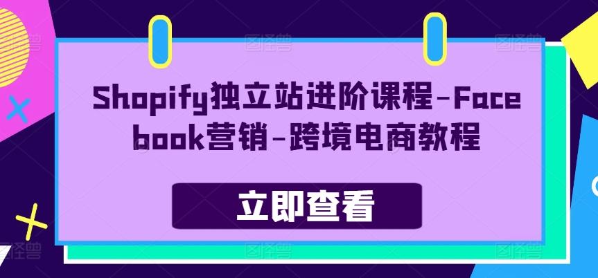 Shopify独立站进阶课程-Facebook营销-跨境电商教程-金易项目网