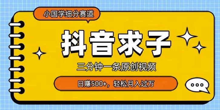 小国学细分赛道，三分钟一条原创视频，日赚500+，可矩阵复制-金易项目网