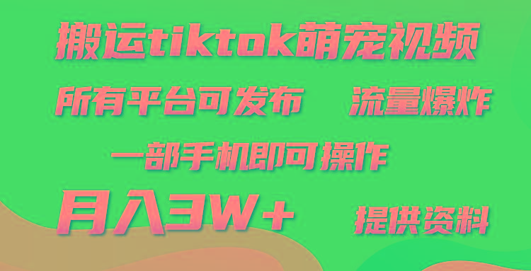 (9618期)搬运Tiktok萌宠类视频，一部手机即可。所有短视频平台均可操作，月入3W+-金易项目网