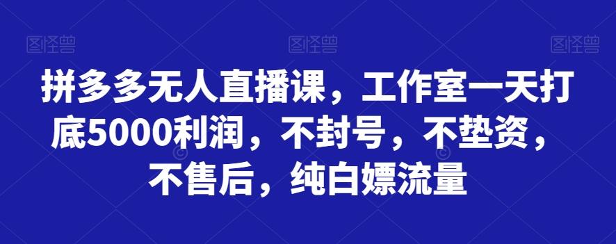拼多多无人直播课，工作室一天打底5000利润，不封号，不垫资，不售后，纯白嫖流量-金易项目网