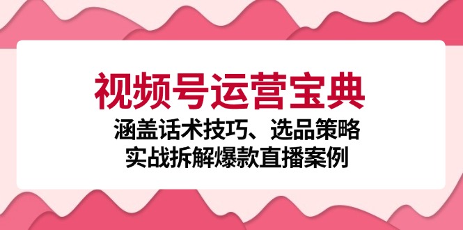 视频号运营宝典：涵盖话术技巧、选品策略、实战拆解爆款直播案例-金易项目网