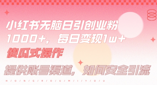 小红书无脑每日引流创业粉500+，小白每天只花半小时，躺赚长尾收益【揭秘】-金易项目网