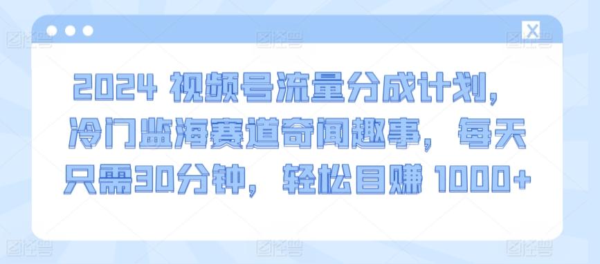2024视频号流量分成计划，冷门监海赛道奇闻趣事，每天只需30分钟，轻松目赚 1000+【揭秘】-金易项目网