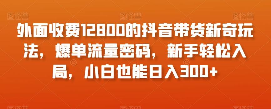 外面收费12800的抖音带货新奇玩法，爆单流量密码，新手轻松入局，小白也能日入300+【揭秘】-金易项目网