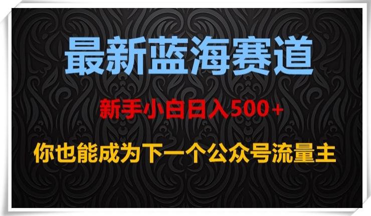 最新蓝海赛道，新手小白日入500+，你也能成为下一个公众号流量主【揭秘】-金易项目网