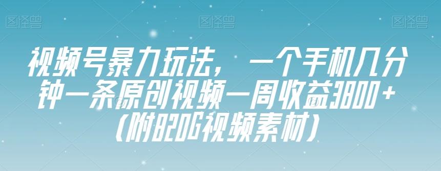 视频号暴力玩法，一个手机几分钟一条原创视频一周收益3800+（附820G视频素材）-金易项目网