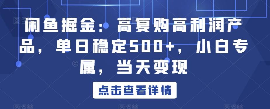 闲鱼掘金：高复购高利润产品，单日稳定500+，小白专属，当天变现-金易项目网