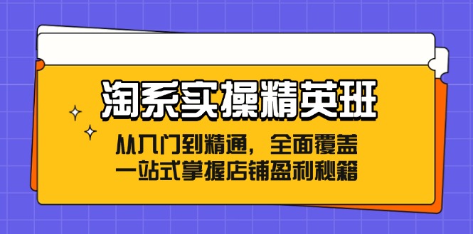 淘系实操精英班：从入门到精通，全面覆盖，一站式掌握店铺盈利秘籍-金易项目网