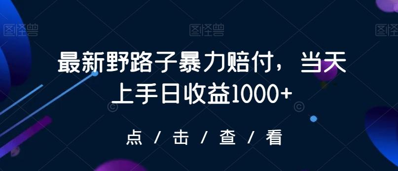 最新野路子暴力赔付，当天上手日收益1000+【仅揭秘】-金易项目网