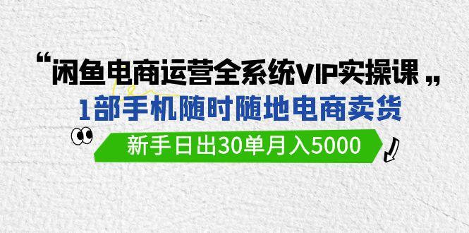 (9547期)闲鱼电商运营全系统VIP实战课，1部手机随时随地卖货，新手日出30单月入5000-金易项目网