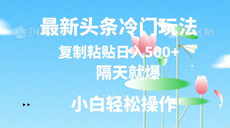 最新头条冷门玩法，隔天就爆，复制粘贴日入500+-金易项目网