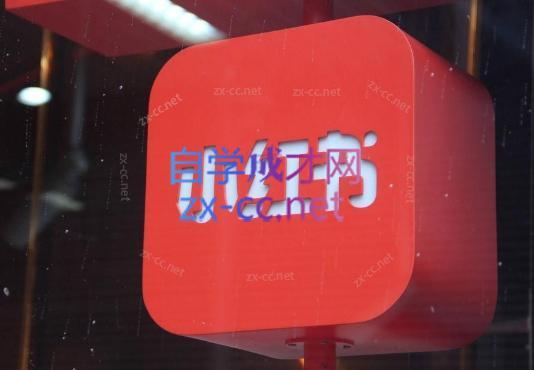 伊伊·红薯【高级班】运营课-金易项目网