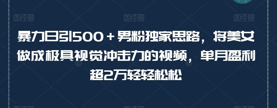 暴力日引500＋男粉独家思路，将美女做成极具视觉冲击力的视频，单月盈利超2万轻轻松松-金易项目网