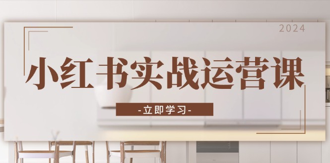 小红书实战运营课：从开通店铺到直播话术，打造爆款笔记与高效直播-金易项目网