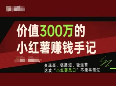 价值300万的小红书赚钱手记，变现高、链路短、轻运营，这波“小红薯风口”不能再错过-金易项目网