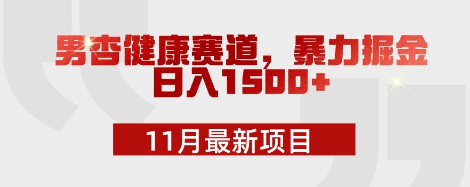 11月最新项目，男杏健康赛道，暴力掘金，日入1500+-金易项目网