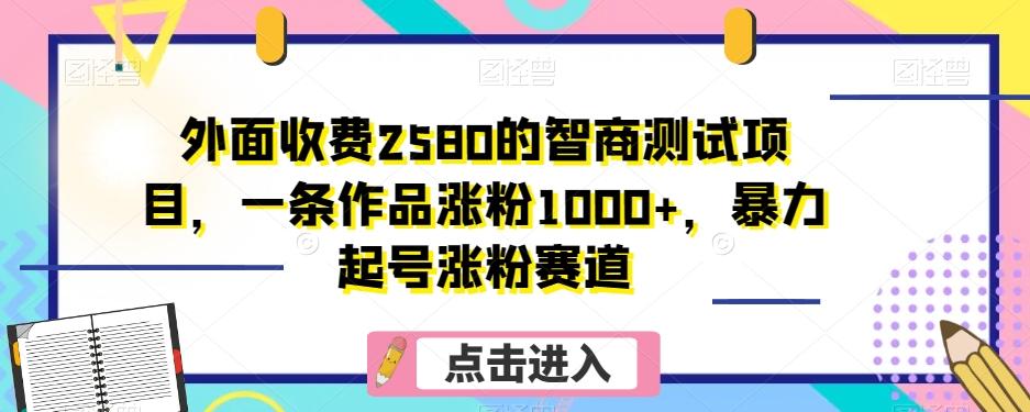 外面收费2580的智商测试项目，一条作品涨粉1000+，暴力起号涨粉赛道【揭秘】-金易项目网