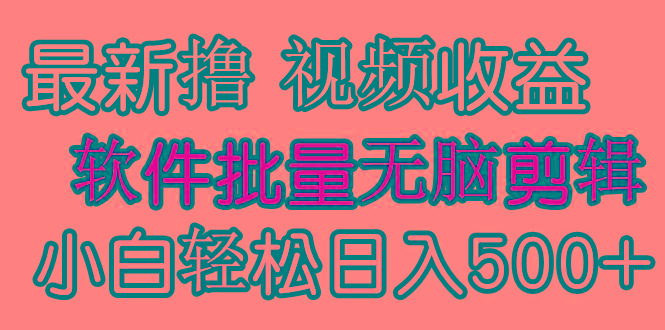 (9569期)发视频撸收益，软件无脑批量剪辑，第一天发第二天就有钱-金易项目网