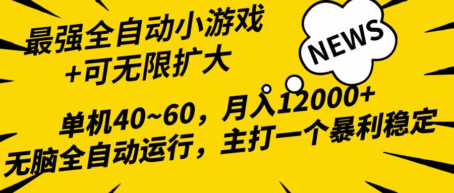 (10046期)2024最新全网独家小游戏全自动，单机40~60,稳定躺赚，小白都能月入过万-金易项目网