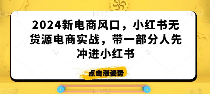 2024新电商风口，小红书无货源电商实战，带一部分人先冲进小红书-金易项目网