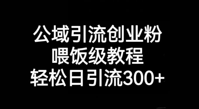 公域引流创业粉，喂饭级教程，轻松日引流300+【揭秘】-金易项目网