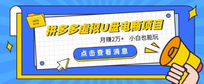 拼多多虚拟U盘电商红利项目：月赚2万+，新手小白也能玩-金易项目网