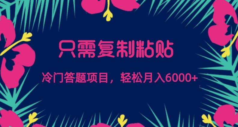 只需复制粘贴，冷门答题项目，轻松月入6000-金易项目网