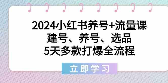 2024小红书养号+流量课：建号、养号、选品，5天多款打爆全流程-金易项目网
