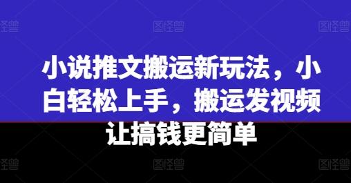小说推文搬运新玩法，小白轻松上手，搬运发视频让搞钱更简单-金易项目网